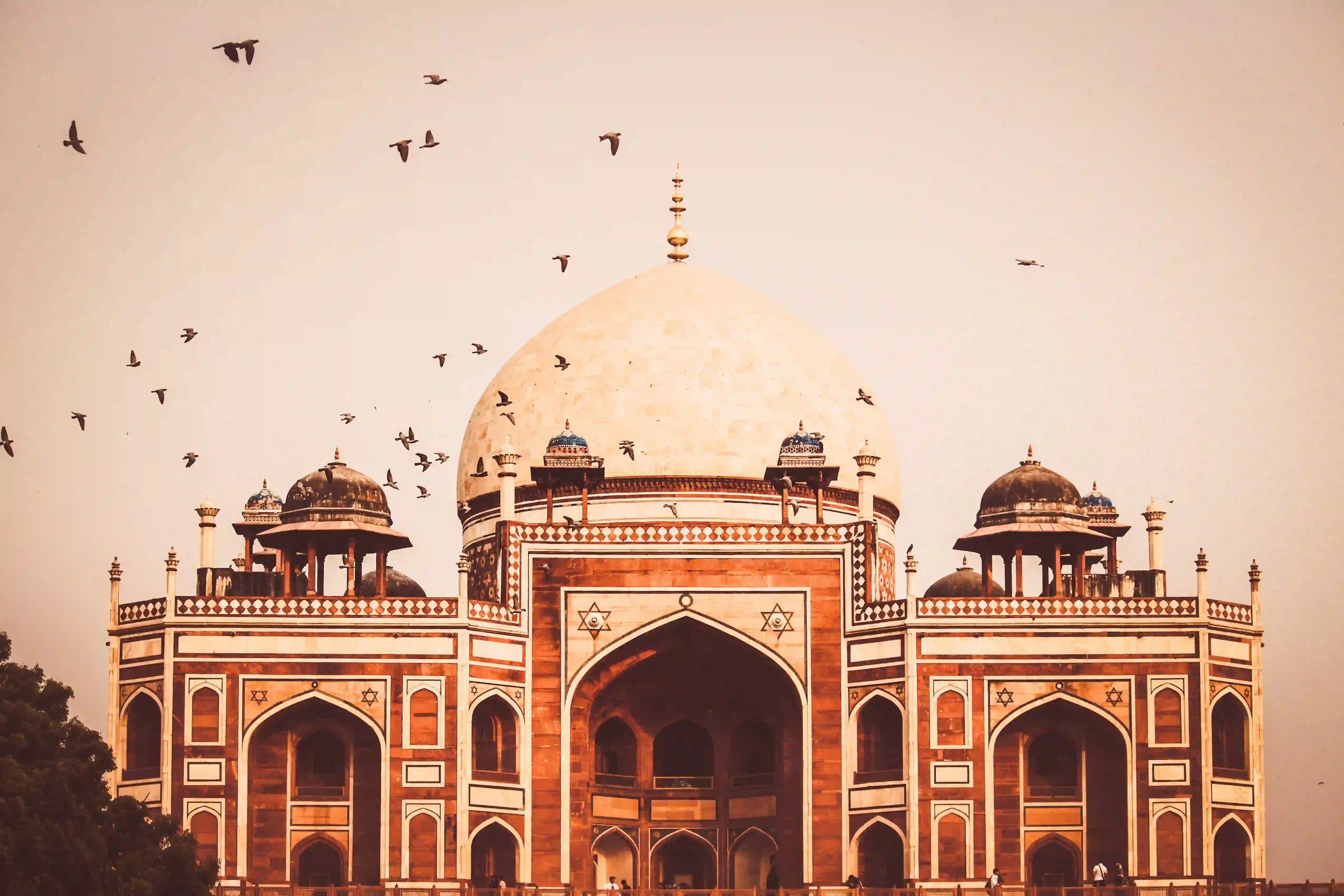 Old & New Delhi 8 Hours Guided Tour